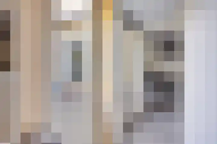 Gieteling 49 Raalte thumbnail 20
