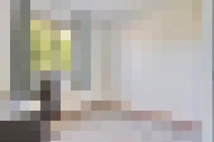 Gieteling 49 Raalte thumbnail 22