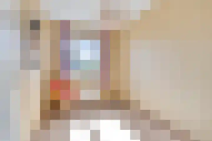 Gieteling 49 Raalte thumbnail 24