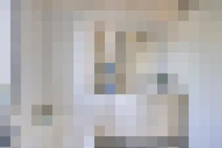 Gieteling 49 Raalte thumbnail 27