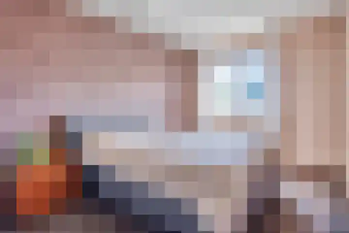 Gieteling 49 Raalte thumbnail 28