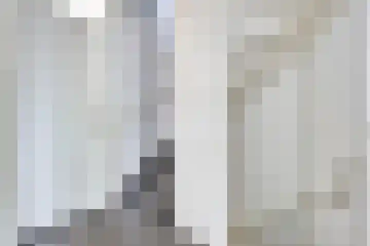 Gieteling 49 Raalte thumbnail 30