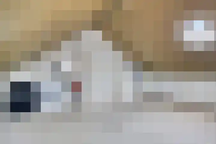 Gieteling 49 Raalte thumbnail 32