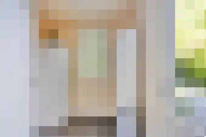 Gieteling 49 Raalte thumbnail 35