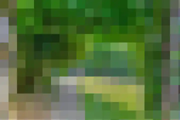Gieteling 49 Raalte thumbnail 36
