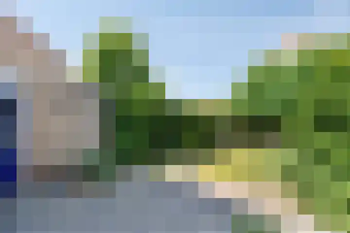 Gieteling 49 Raalte thumbnail 41