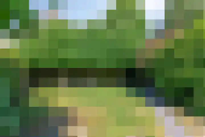 Gieteling 49 Raalte thumbnail 42