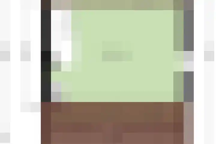 Gieteling 49 Raalte thumbnail 48