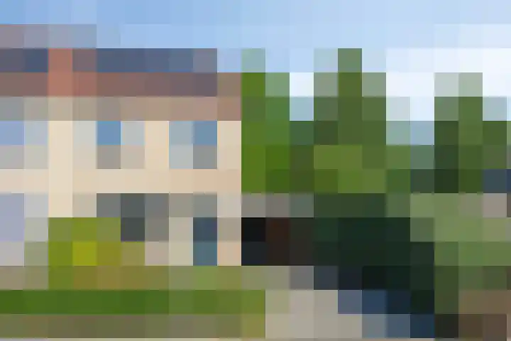 Gieteling 49 Raalte thumbnail 5