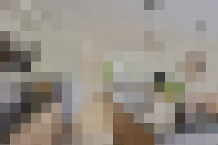 Gildebongerd 127 Zeddam thumbnail 18
