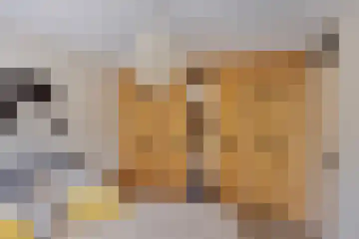 Gildebongerd 127 Zeddam thumbnail 26