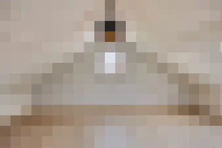 Gildebongerd 127 Zeddam thumbnail 33
