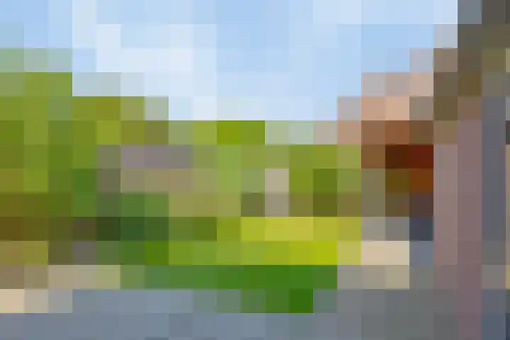 Gildebongerd 127 Zeddam thumbnail 36