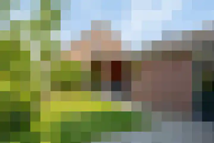 Gildebongerd 127 Zeddam thumbnail 37