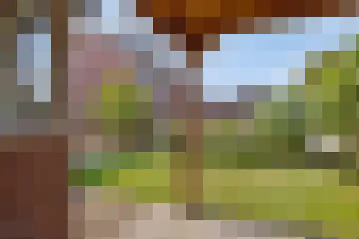 Gildebongerd 127 Zeddam thumbnail 38
