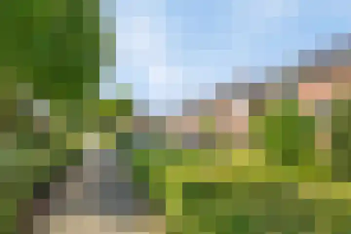 Gildebongerd 127 Zeddam thumbnail 43