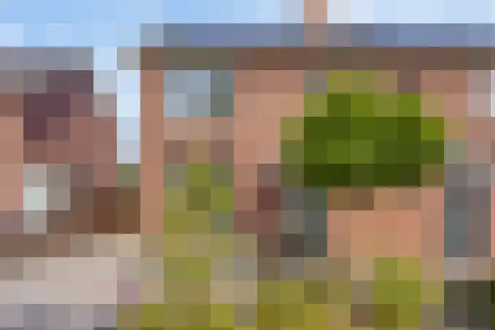 Gildebongerd 127 Zeddam thumbnail 6