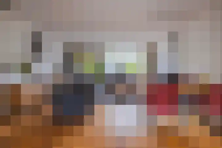 Gildedreef 27 Duiven thumbnail 11