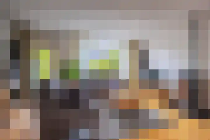 Gildedreef 27 Duiven thumbnail 13