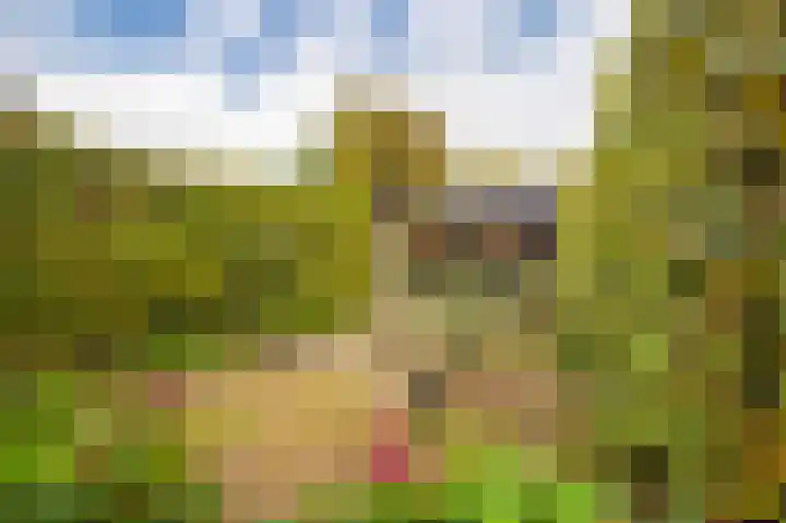 Gildedreef 27 Duiven thumbnail 16