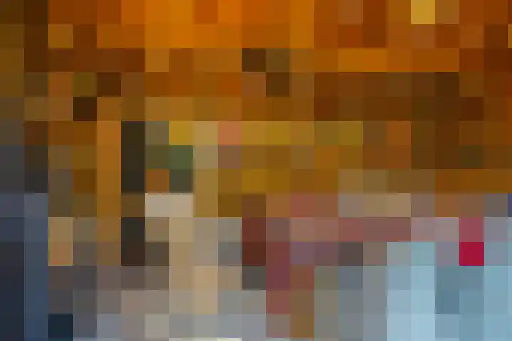 Gildedreef 27 Duiven thumbnail 17