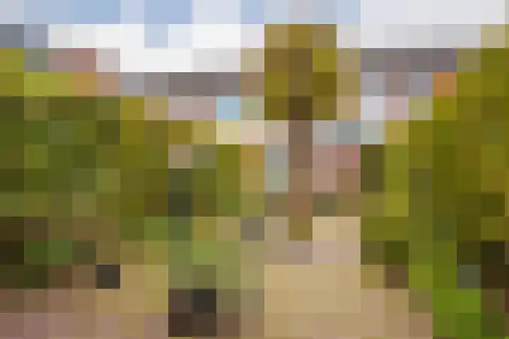Gildedreef 27 Duiven thumbnail 19