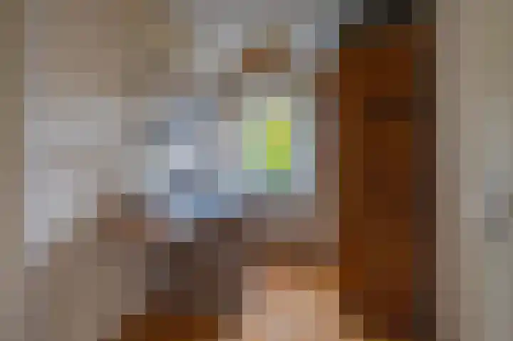 Gildedreef 27 Duiven thumbnail 20