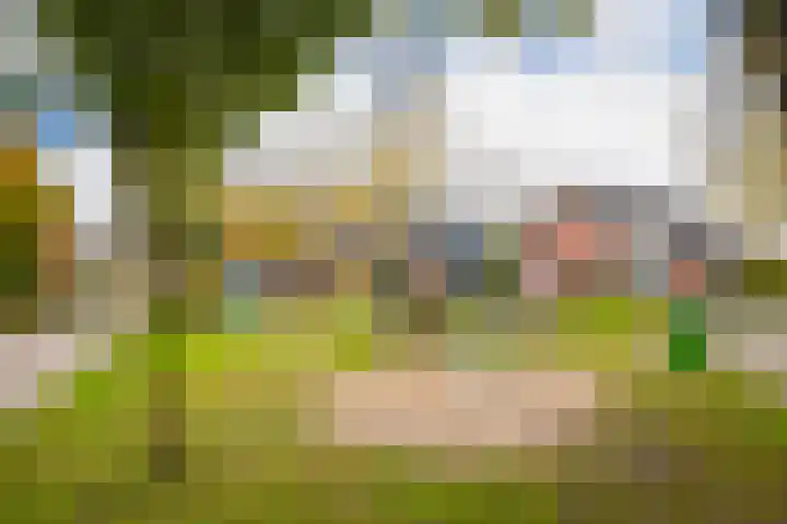 Gildedreef 27 Duiven thumbnail 29