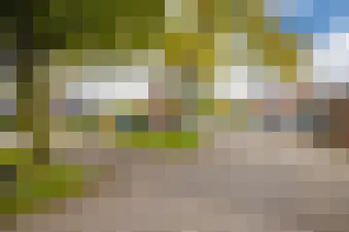 Gildedreef 27 Duiven thumbnail 30