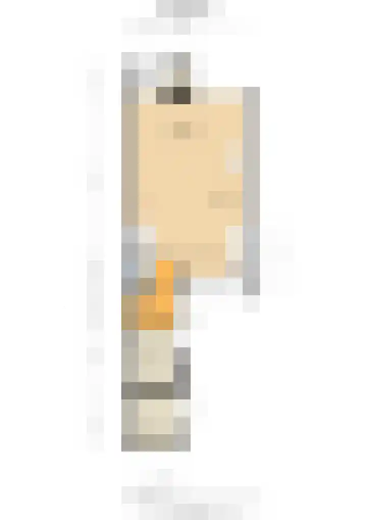Gildedreef 27 Duiven thumbnail 31