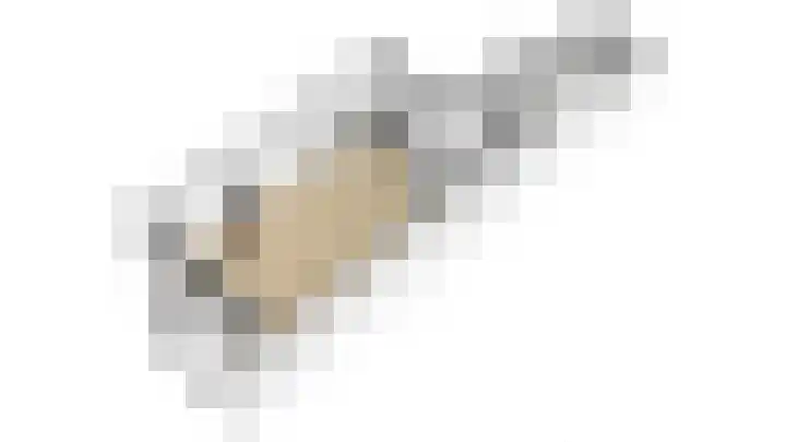Gildedreef 27 Duiven thumbnail 32