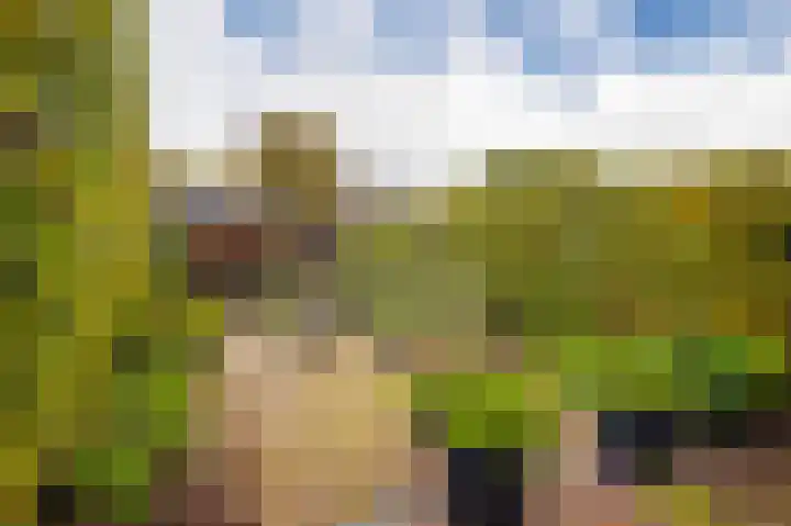 Gildedreef 27 Duiven thumbnail 4