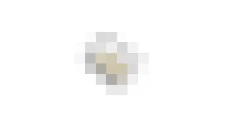 Gildedreef 27 Duiven thumbnail 41