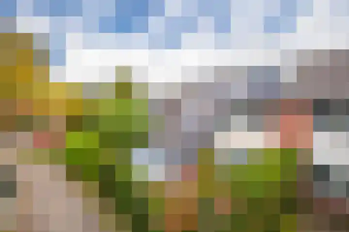 Gildedreef 27 Duiven thumbnail 5
