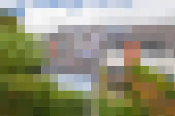 Gildedreef 27 Duiven thumbnail 6