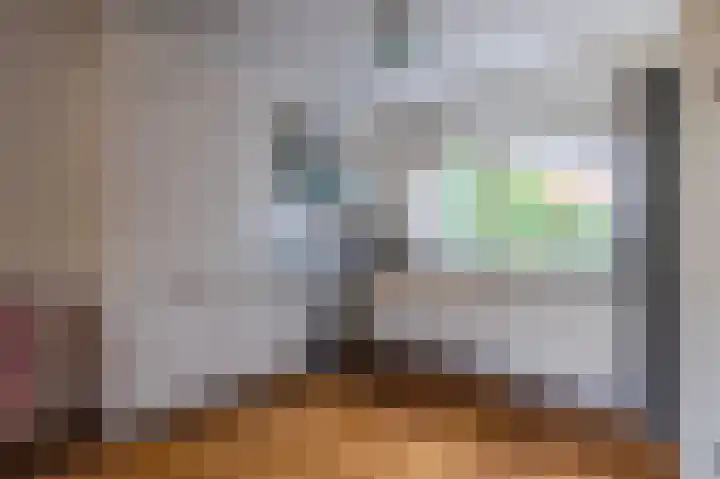 Gildedreef 27 Duiven thumbnail 9