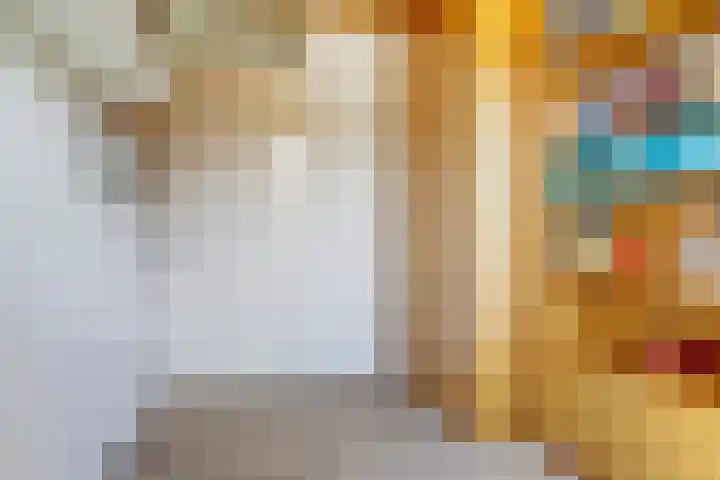 Gildedreef 66 Duiven thumbnail 16