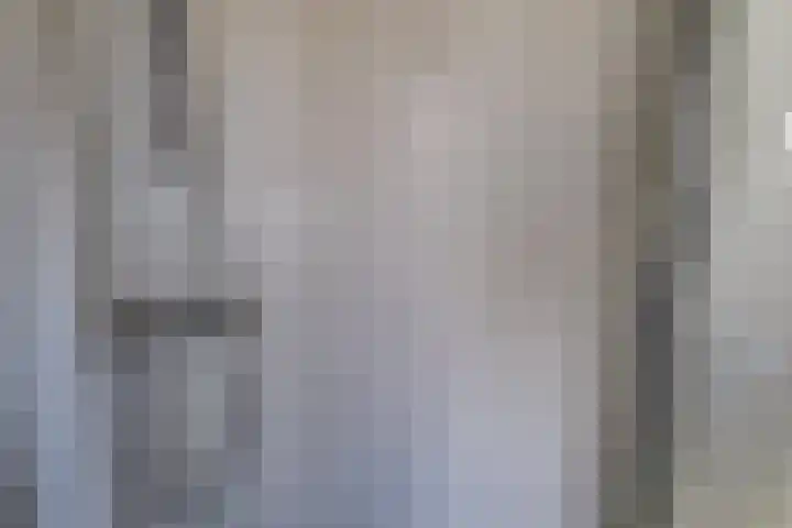 Gildedreef 66 Duiven thumbnail 23
