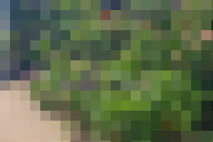 Gildedreef 66 Duiven thumbnail 36