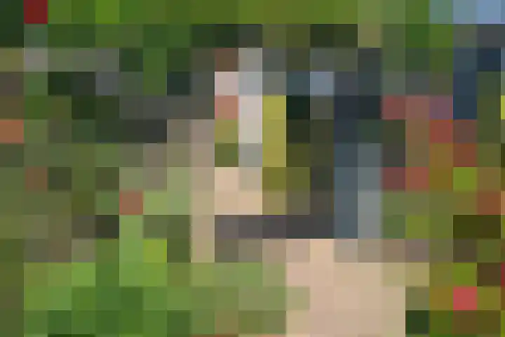 Gildedreef 66 Duiven thumbnail 38