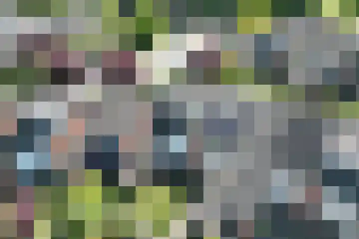 Gildedreef 66 Duiven thumbnail 41