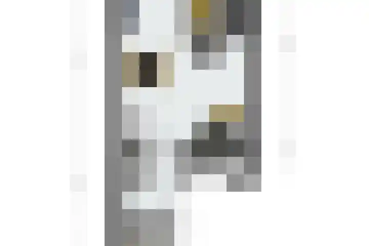 Gildedreef 66 Duiven thumbnail 42