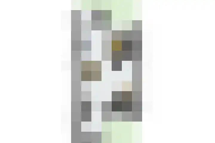 Gildedreef 66 Duiven thumbnail 45