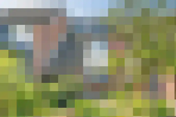 Gildedreef 66 Duiven thumbnail 46