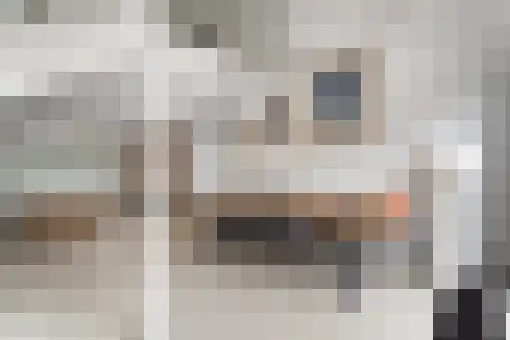 Gildemark 20 Almere thumbnail 17
