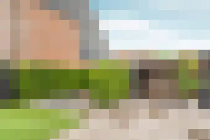 Gildemark 20 Almere thumbnail 53