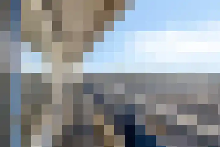Gildemeestersplein 270 Arnhem thumbnail 23