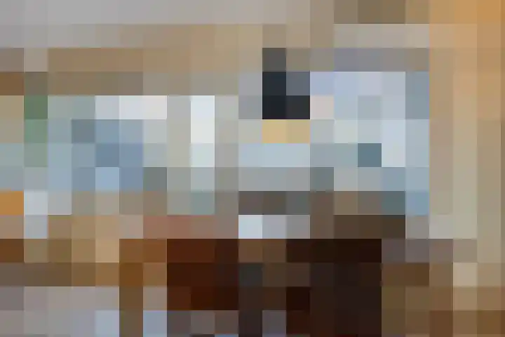 Gildenburg 209 Deventer thumbnail 10
