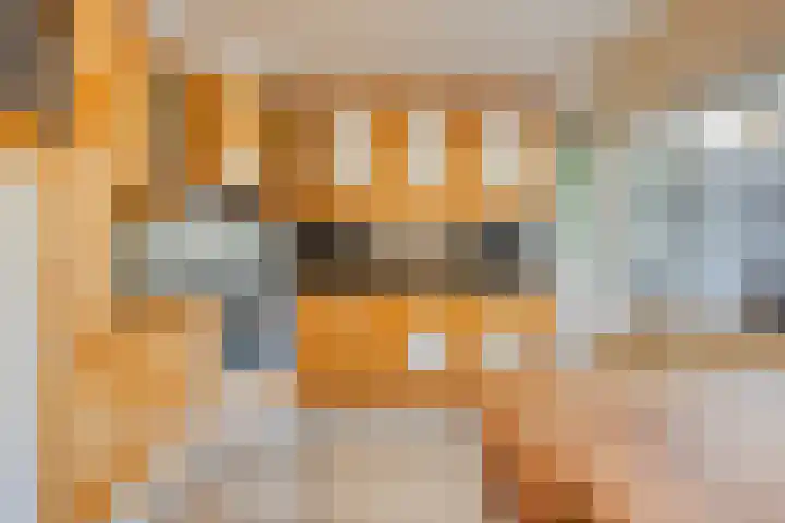 Gildenburg 209 Deventer thumbnail 11