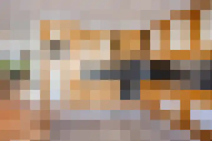 Gildenburg 209 Deventer thumbnail 12